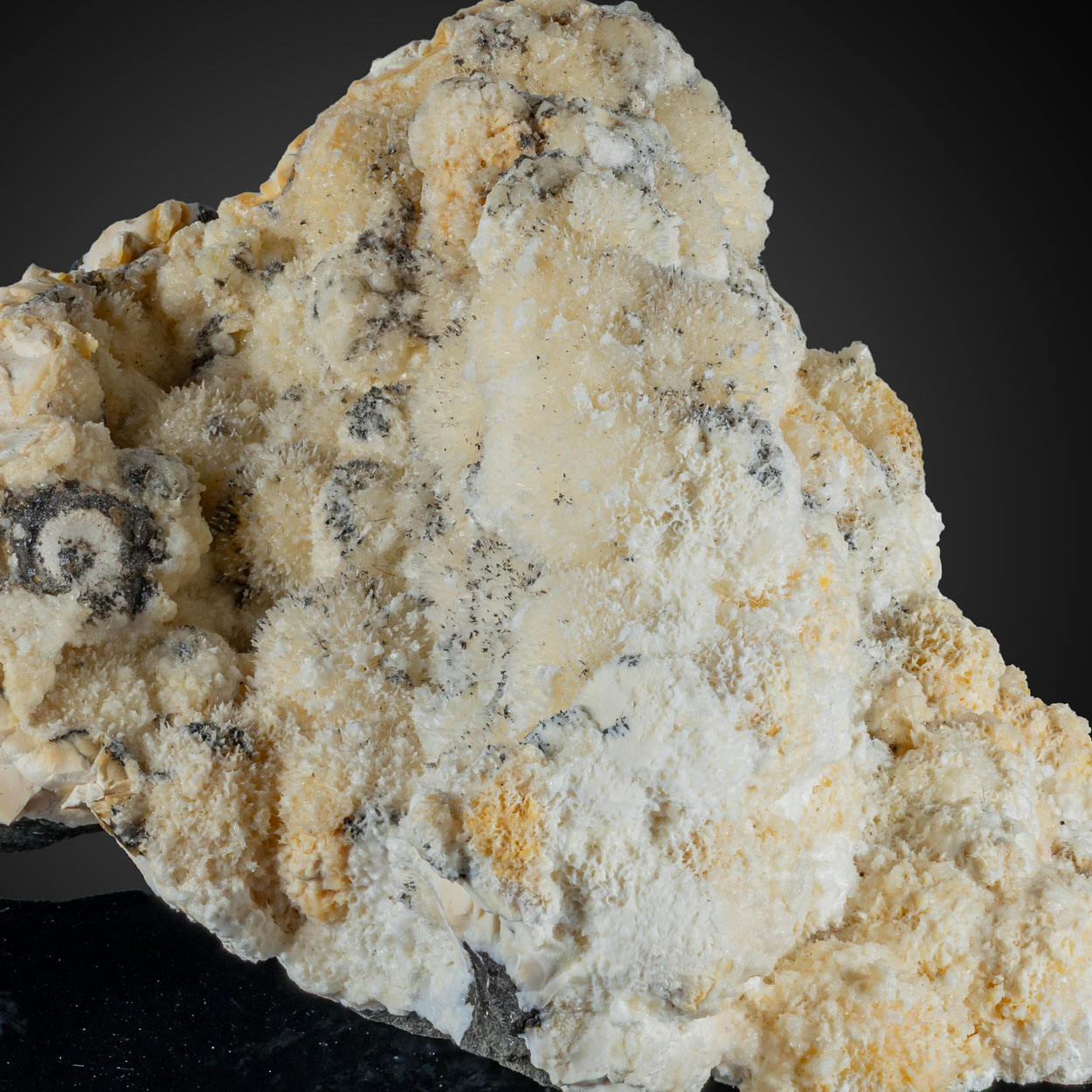 Tobermorite & Tacharanite