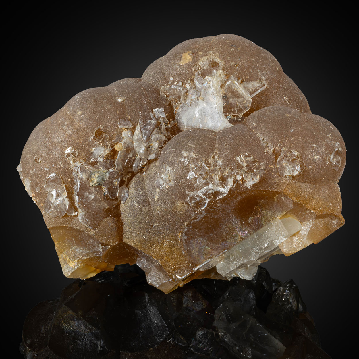 Siderite Var Sphärosiderite On Baryte
