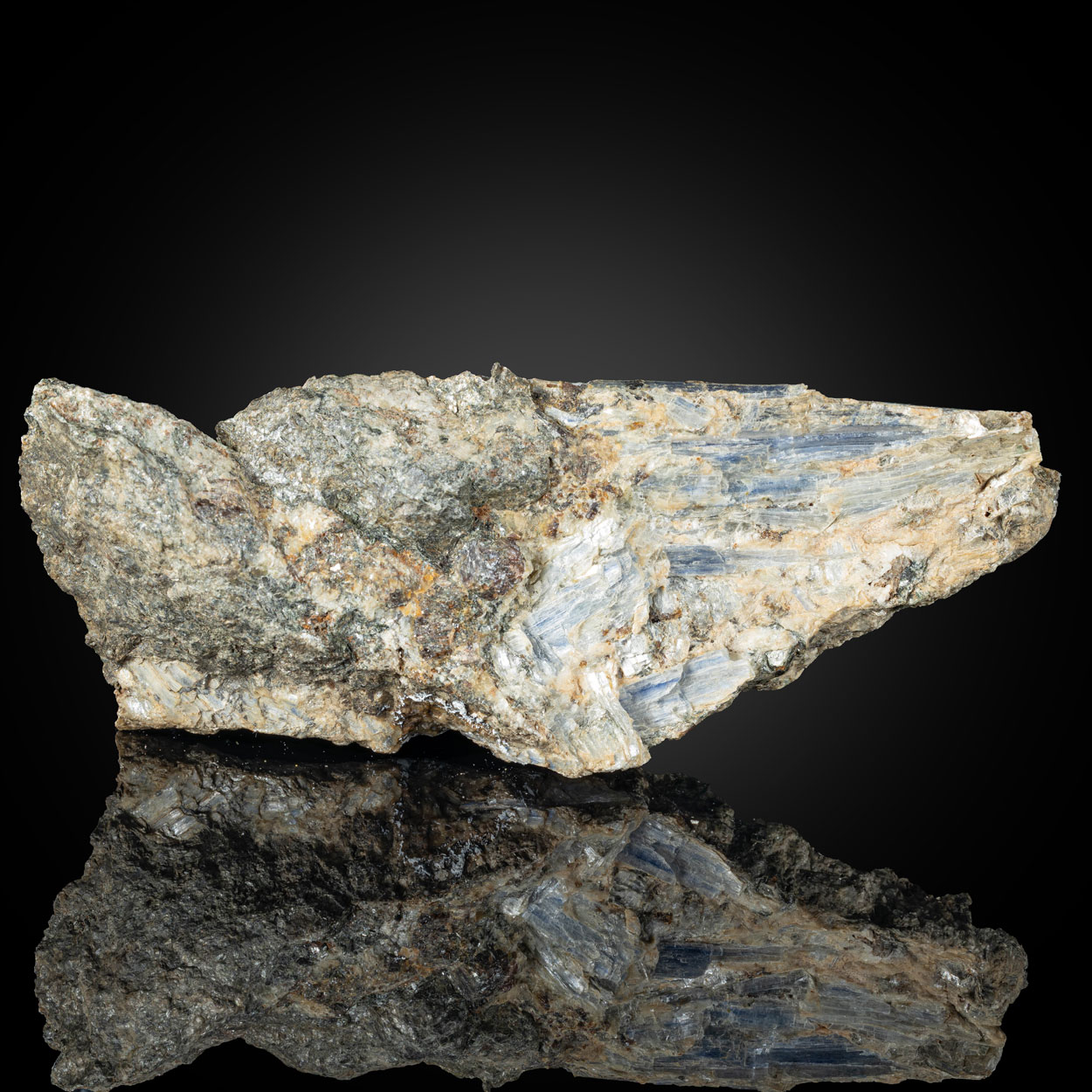 Kyanite & Andradite