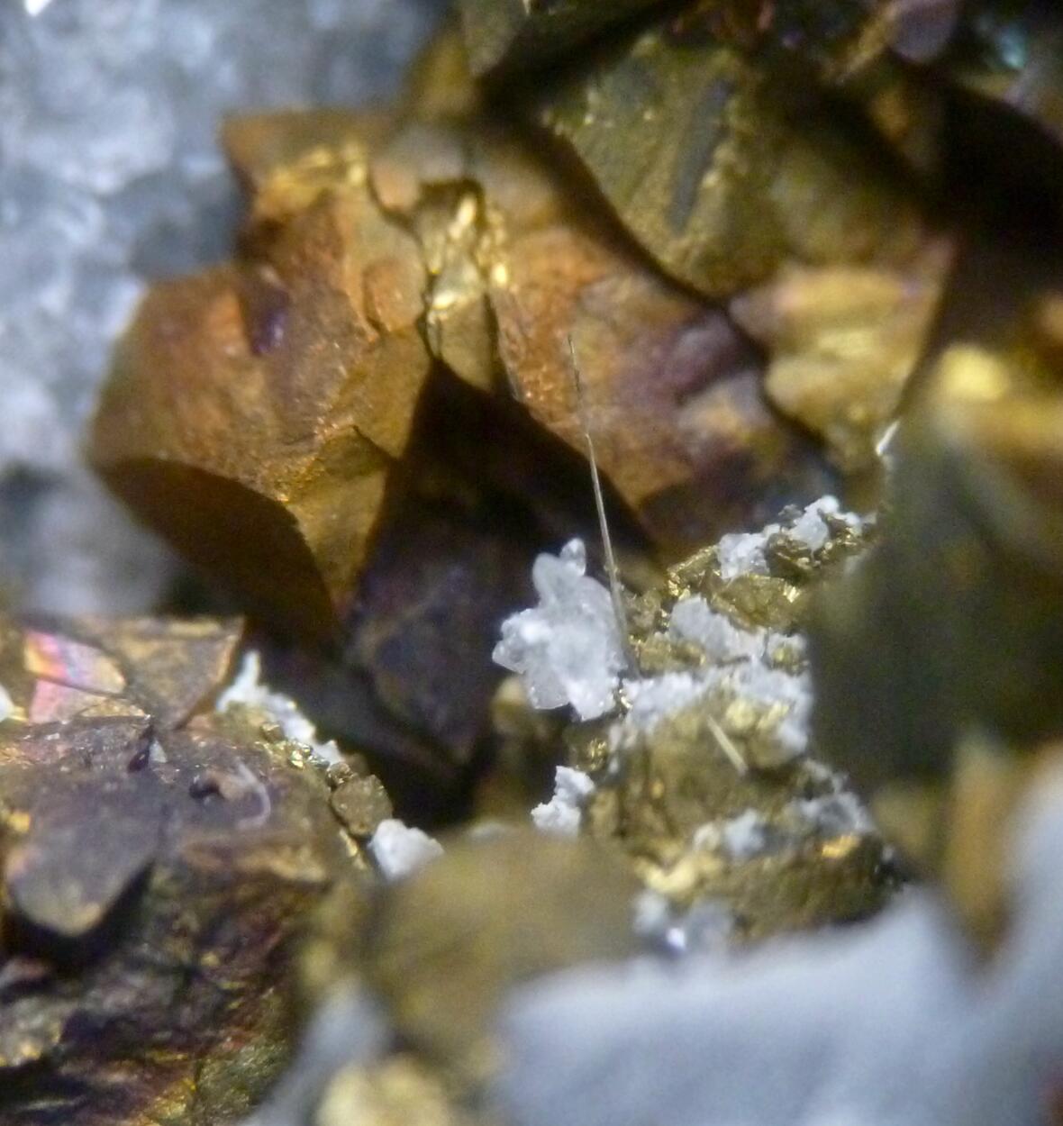 Millerite & Chalcopyrite