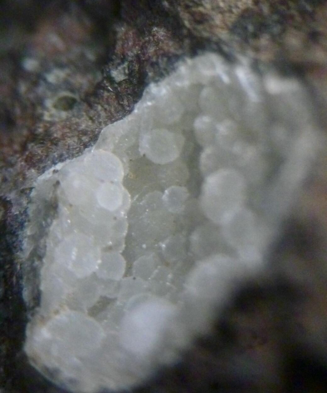 Phillipsite Cowlesite & Chabazite