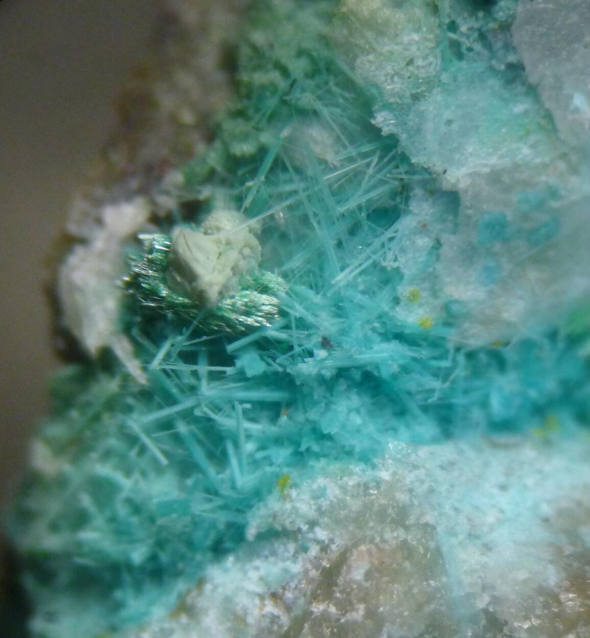 Chrysocolla Psm Mordenite