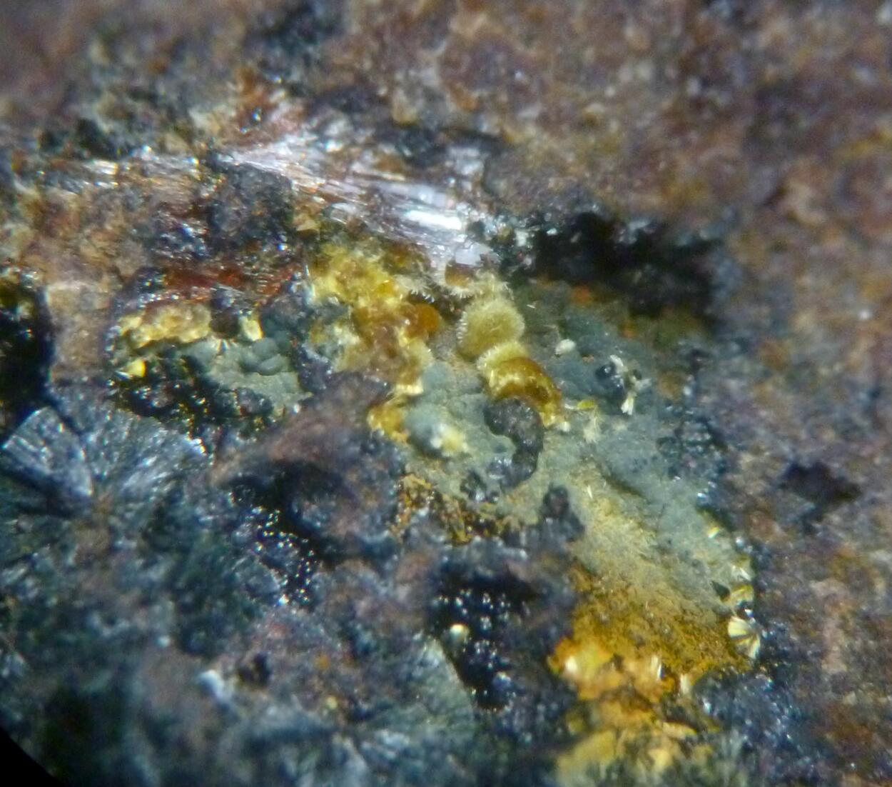 Rockbridgeite & Cacoxenite