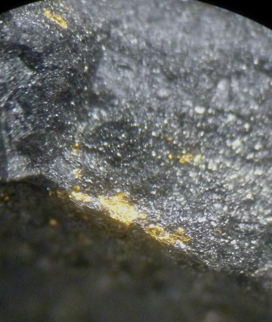 Native Gold & Magnetite