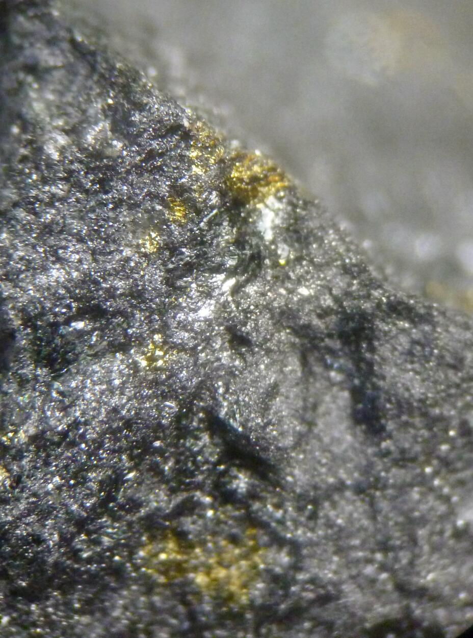 Native Gold & Magnetite