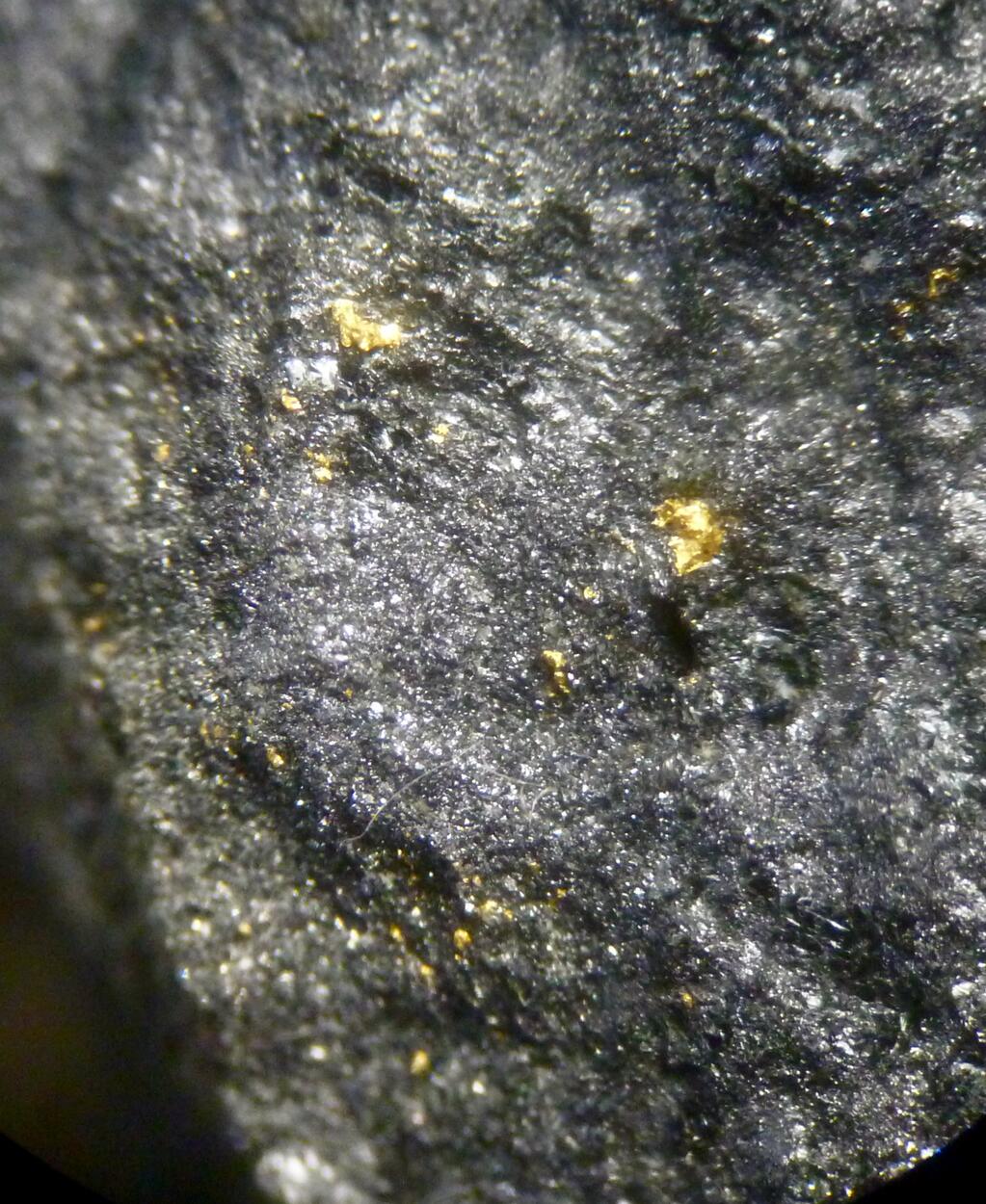 Native Gold & Magnetite