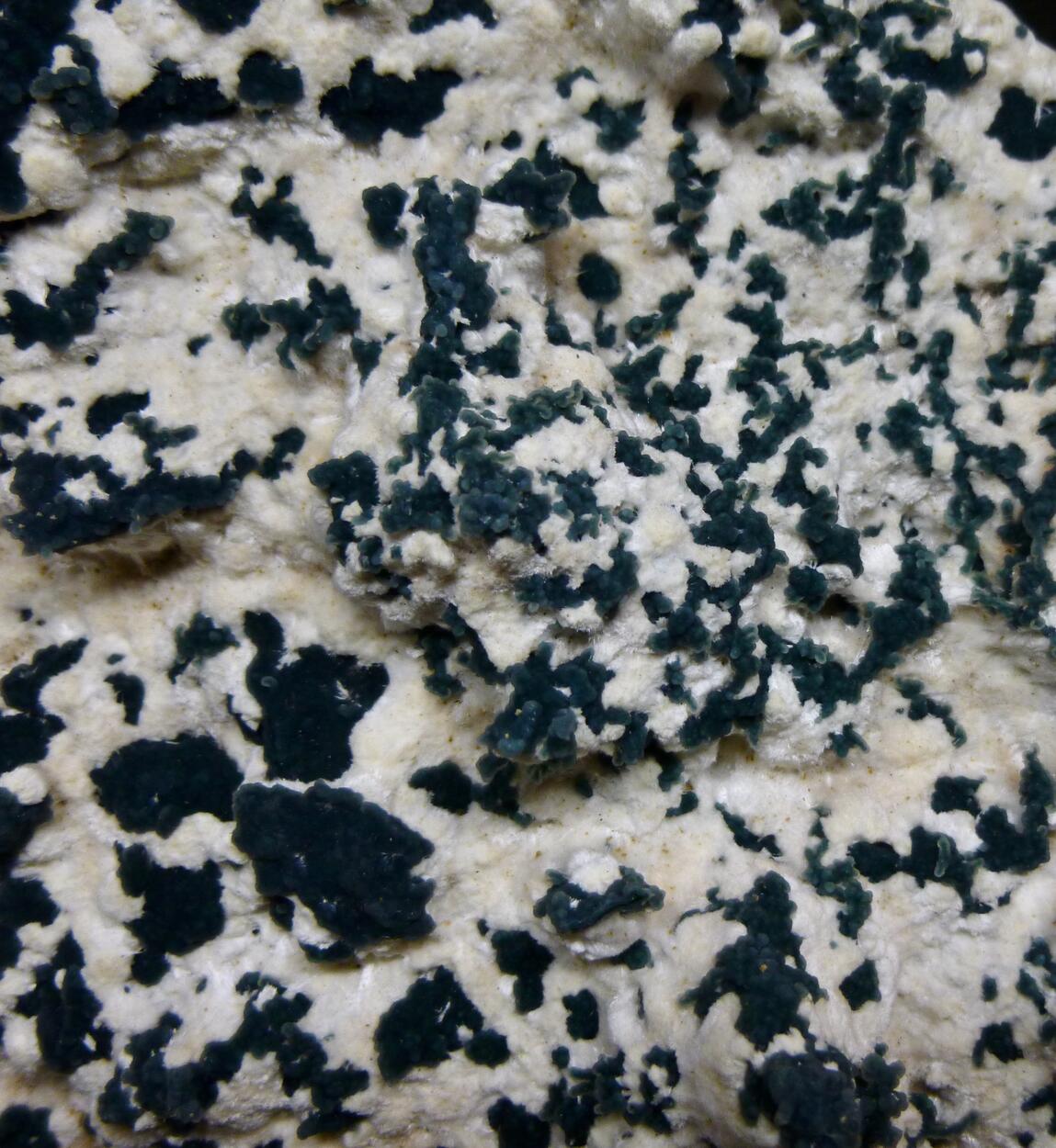 Mordenite & Chalcedony