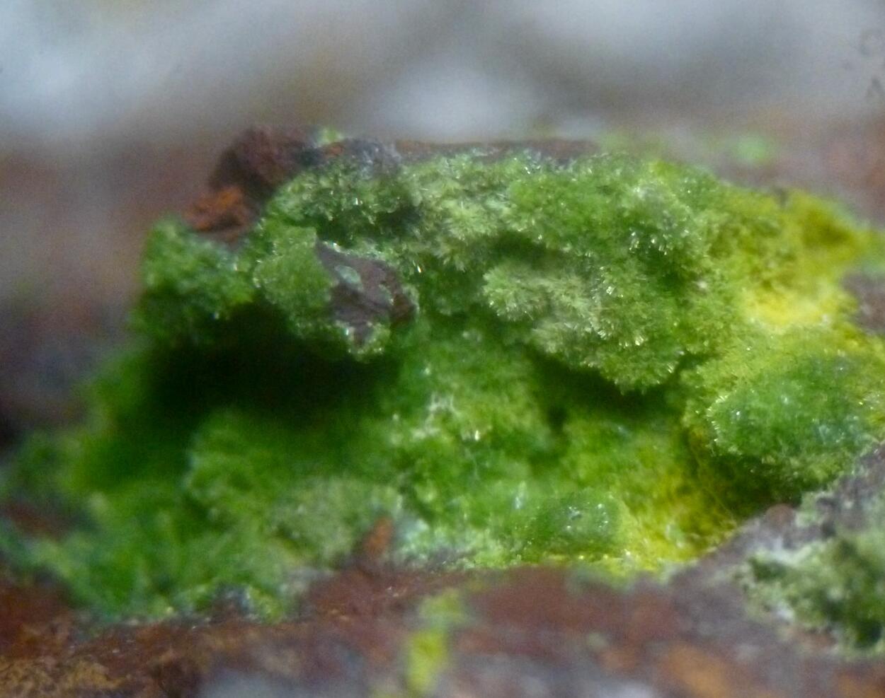 Conichalcite