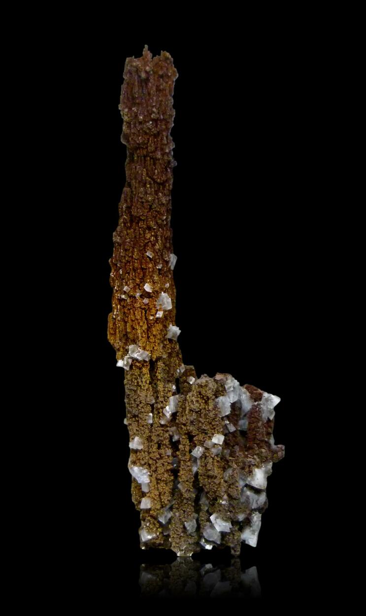 Limonite Psm & Calcite