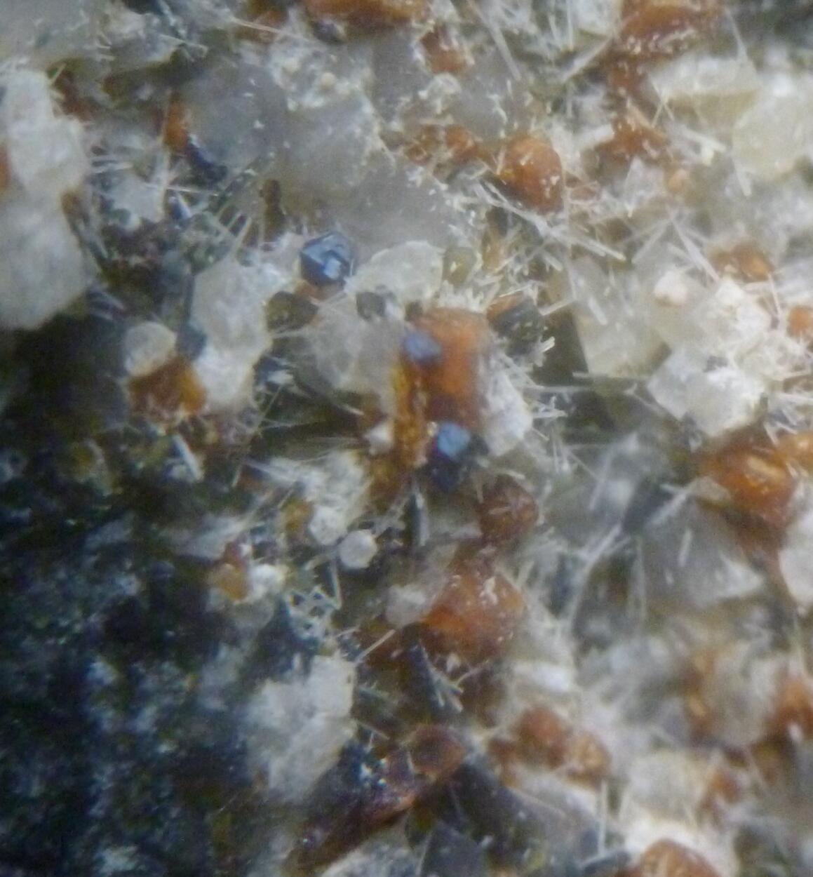 Melilite Fluorapatite Nepheline Magnetite & Augite