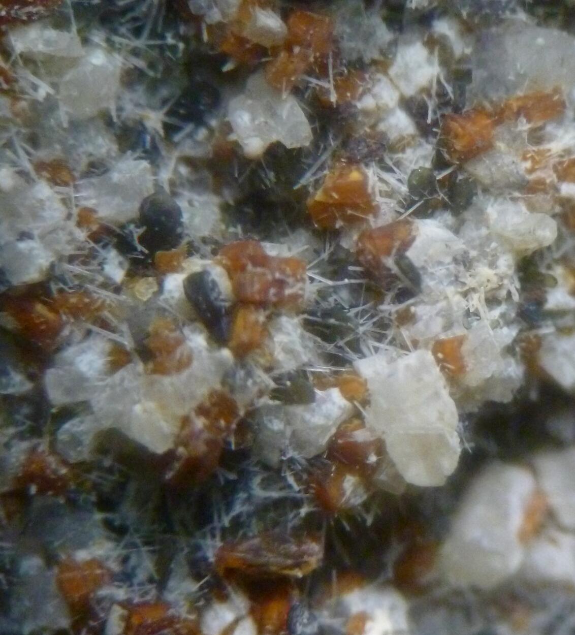 Melilite Fluorapatite Nepheline Magnetite & Augite