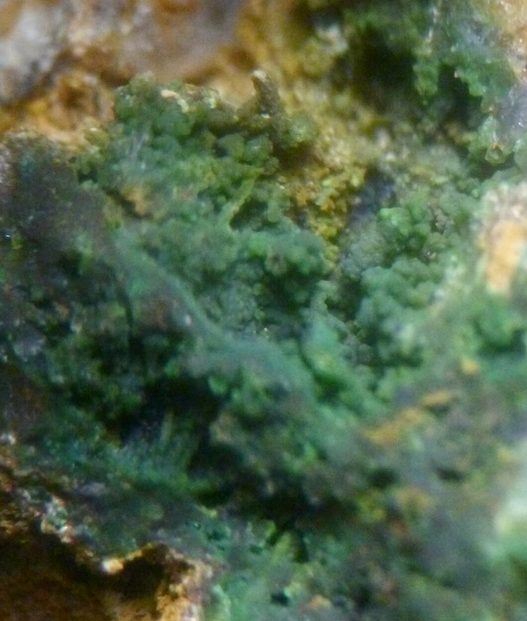 Bayldonite Malachite & Mimetite