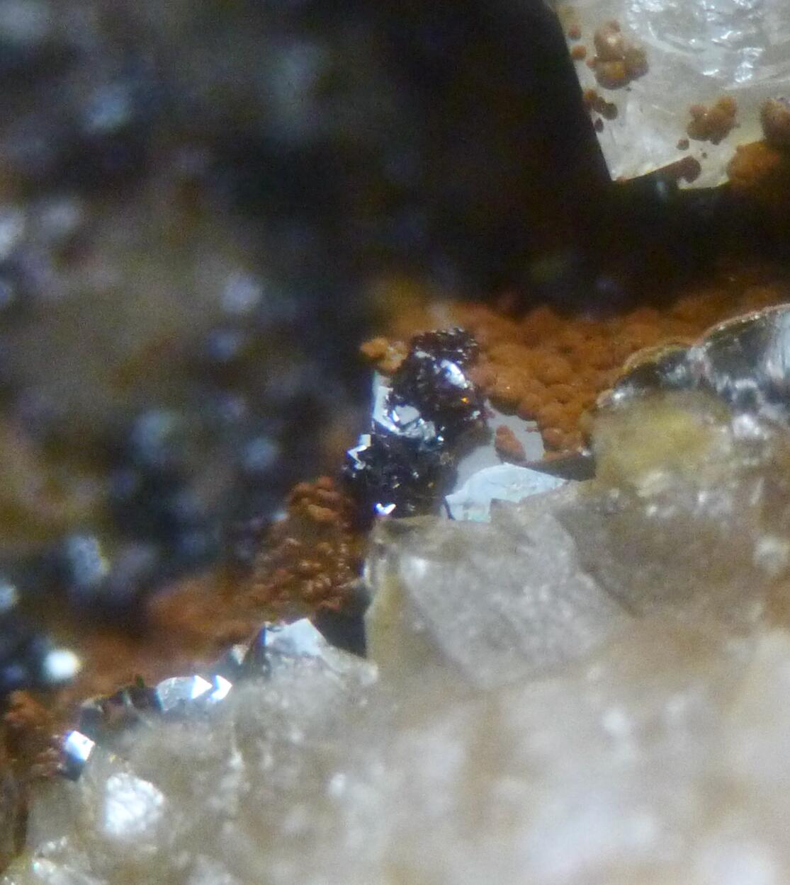 Kintoreite & Covellite