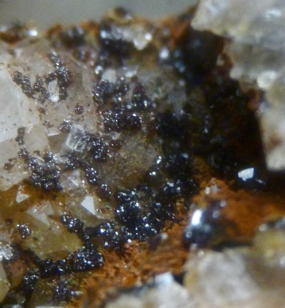 Kintoreite & Covellite