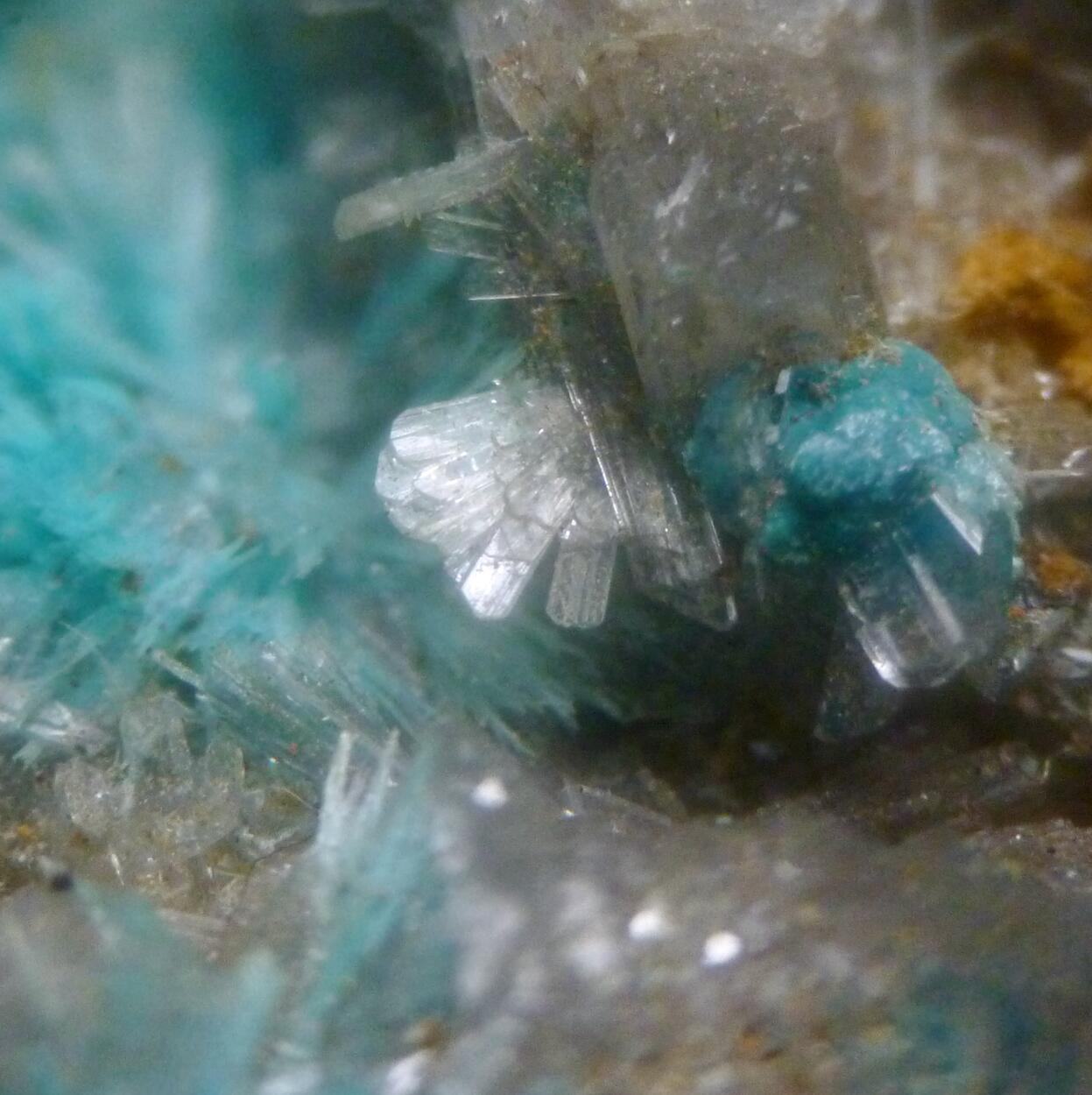 Aurichalcite & Hemimorphite