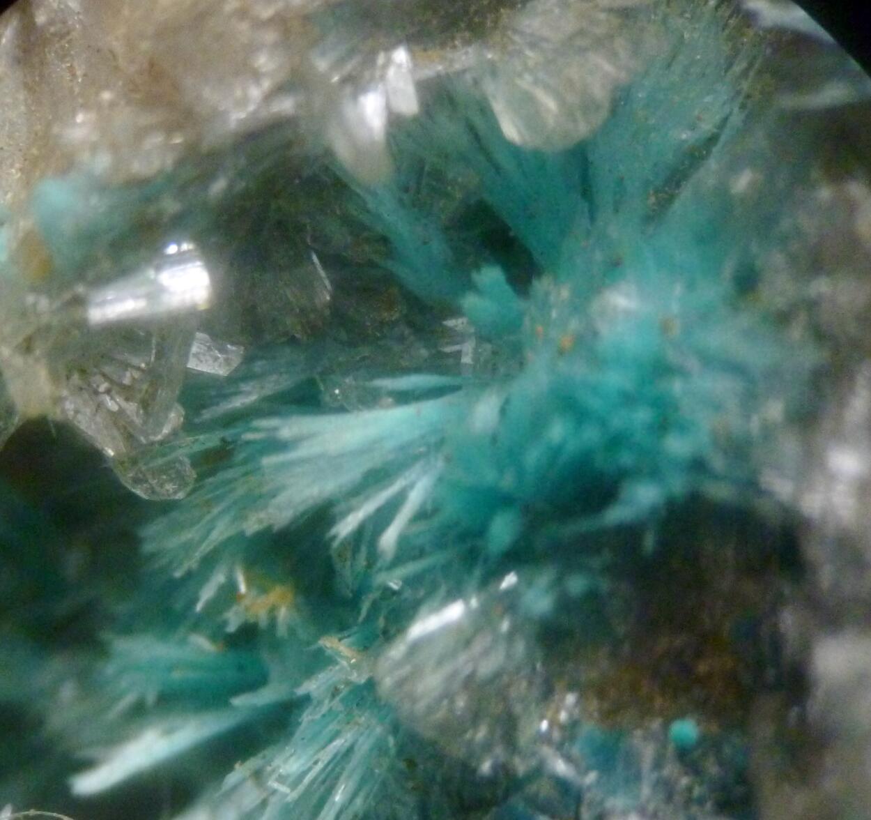 Aurichalcite & Hemimorphite