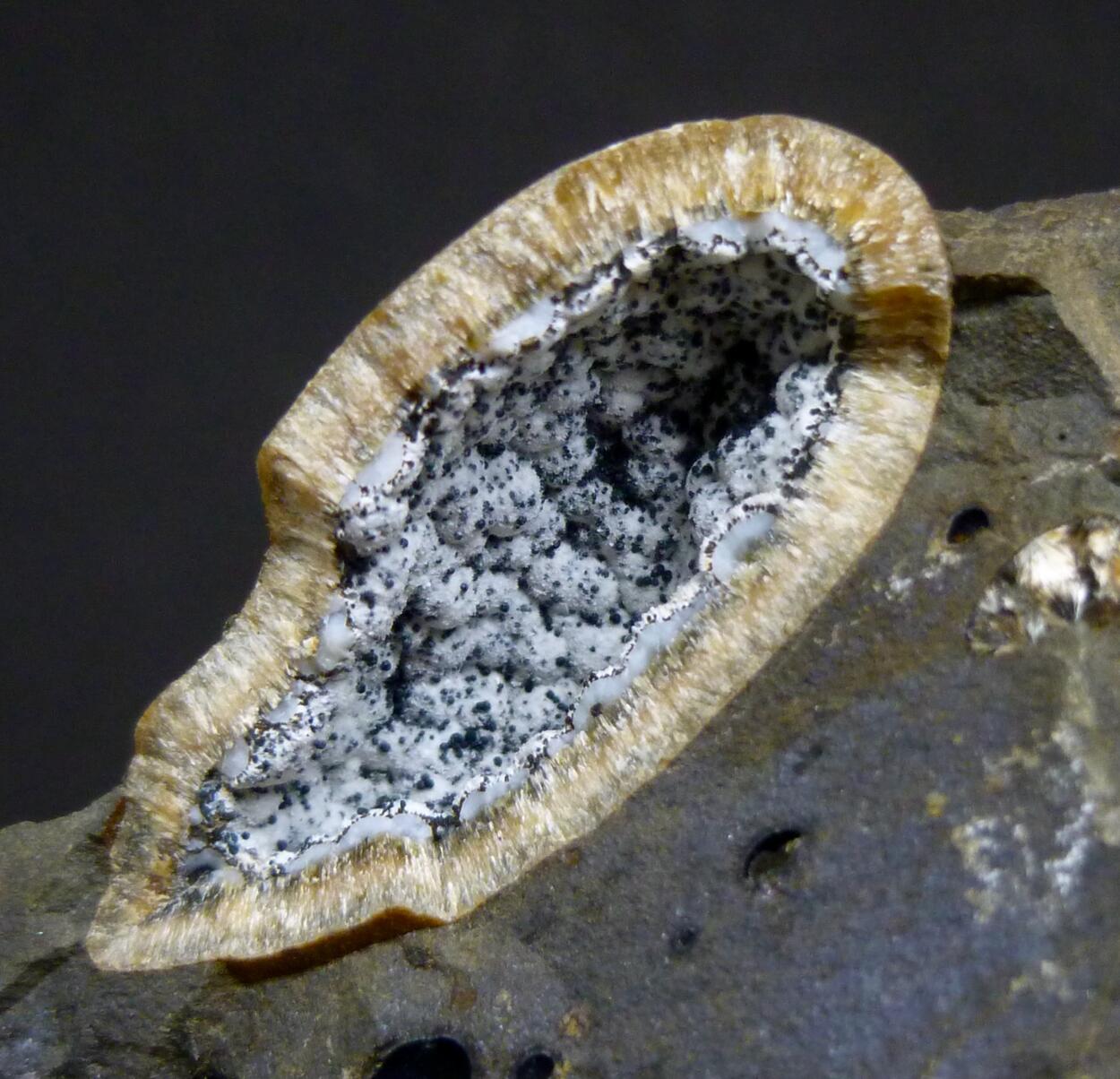 Mordenite & Erionite