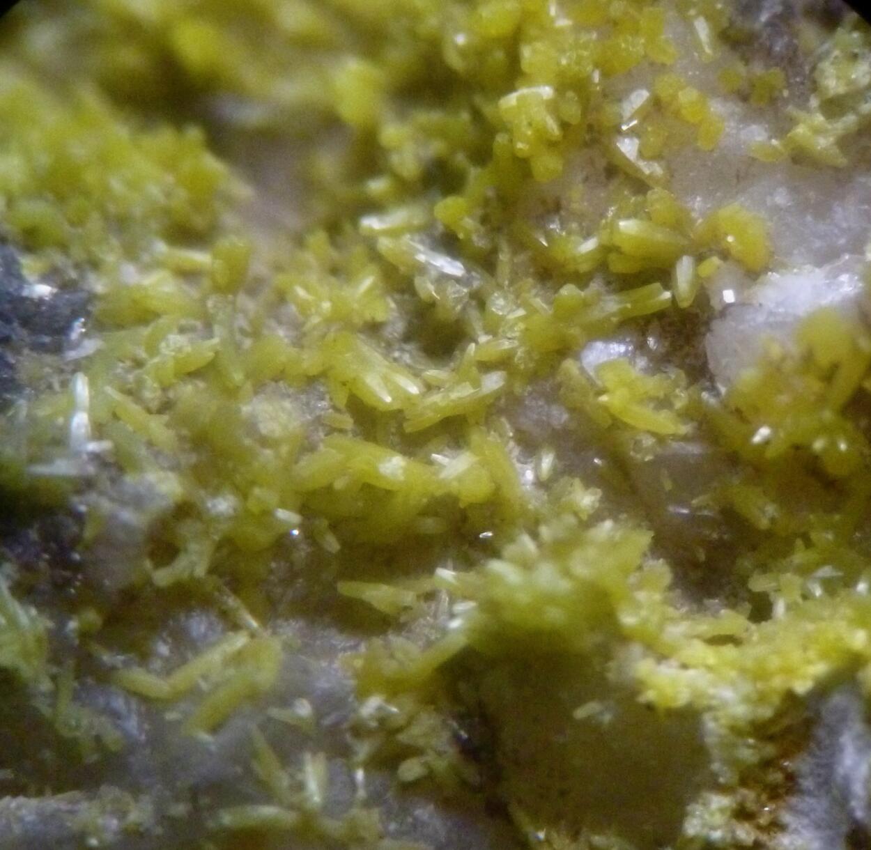 Pyromorphite