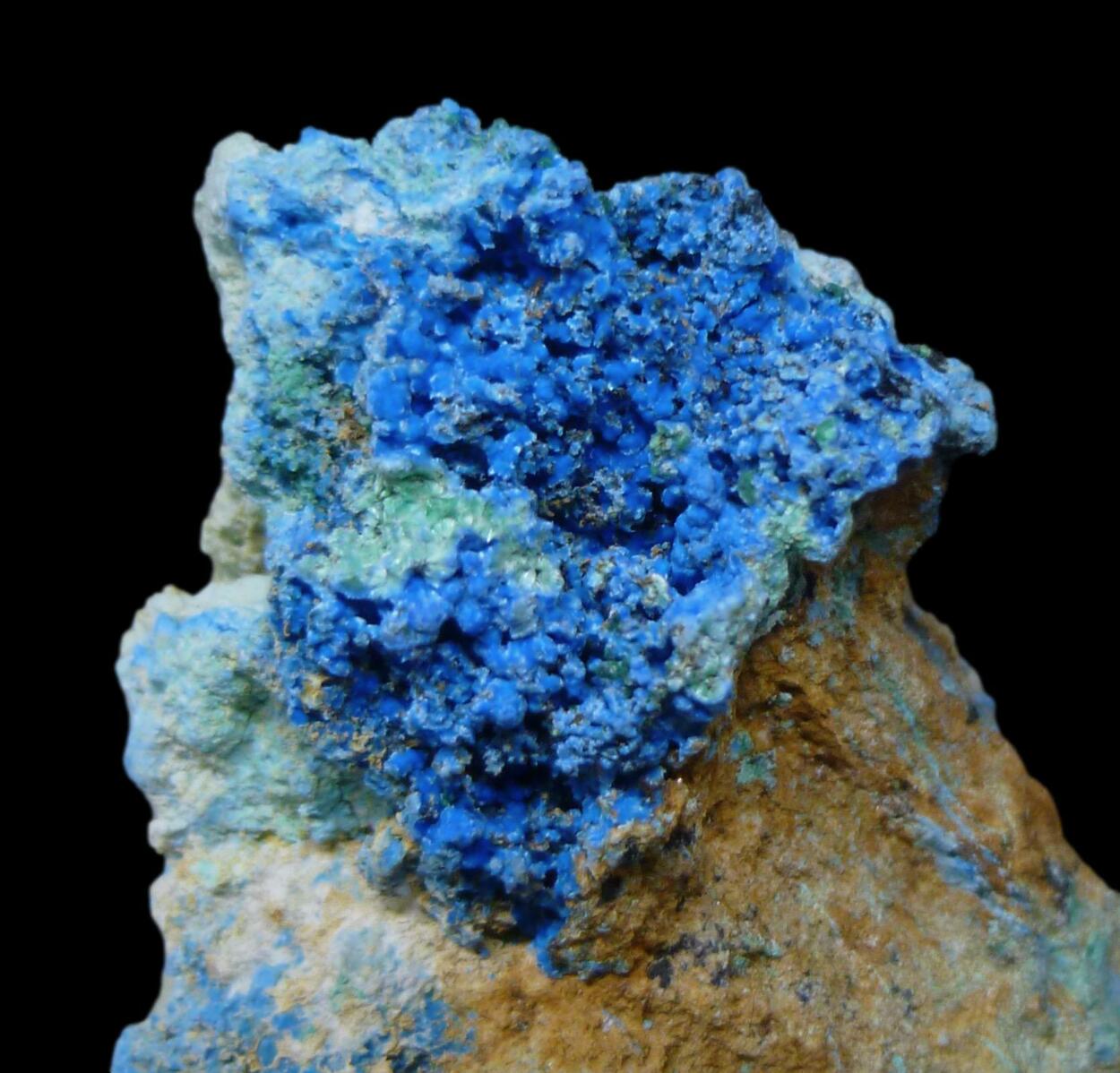 Cyanotrichite & Chalcoalumite