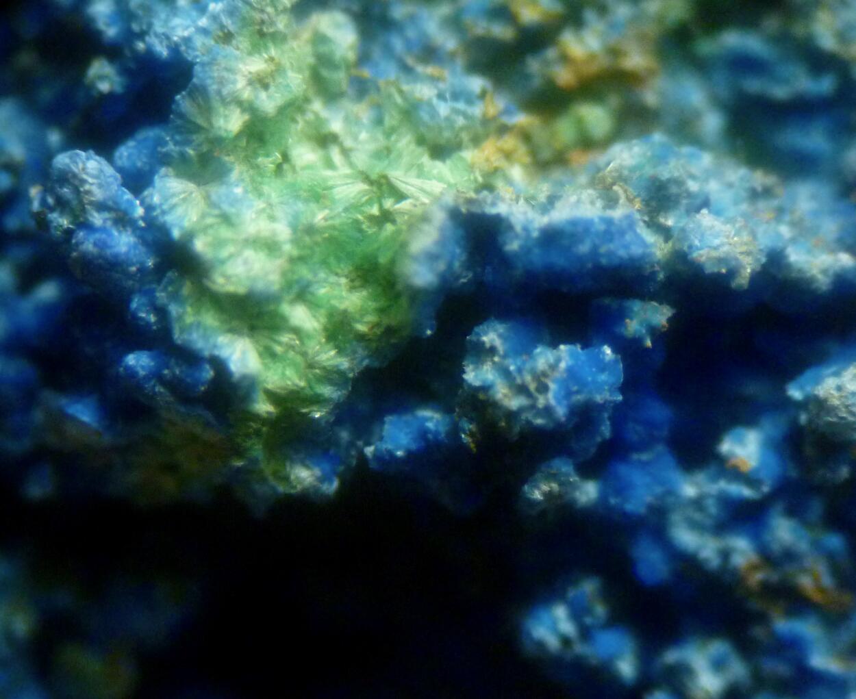 Cyanotrichite & Chalcoalumite