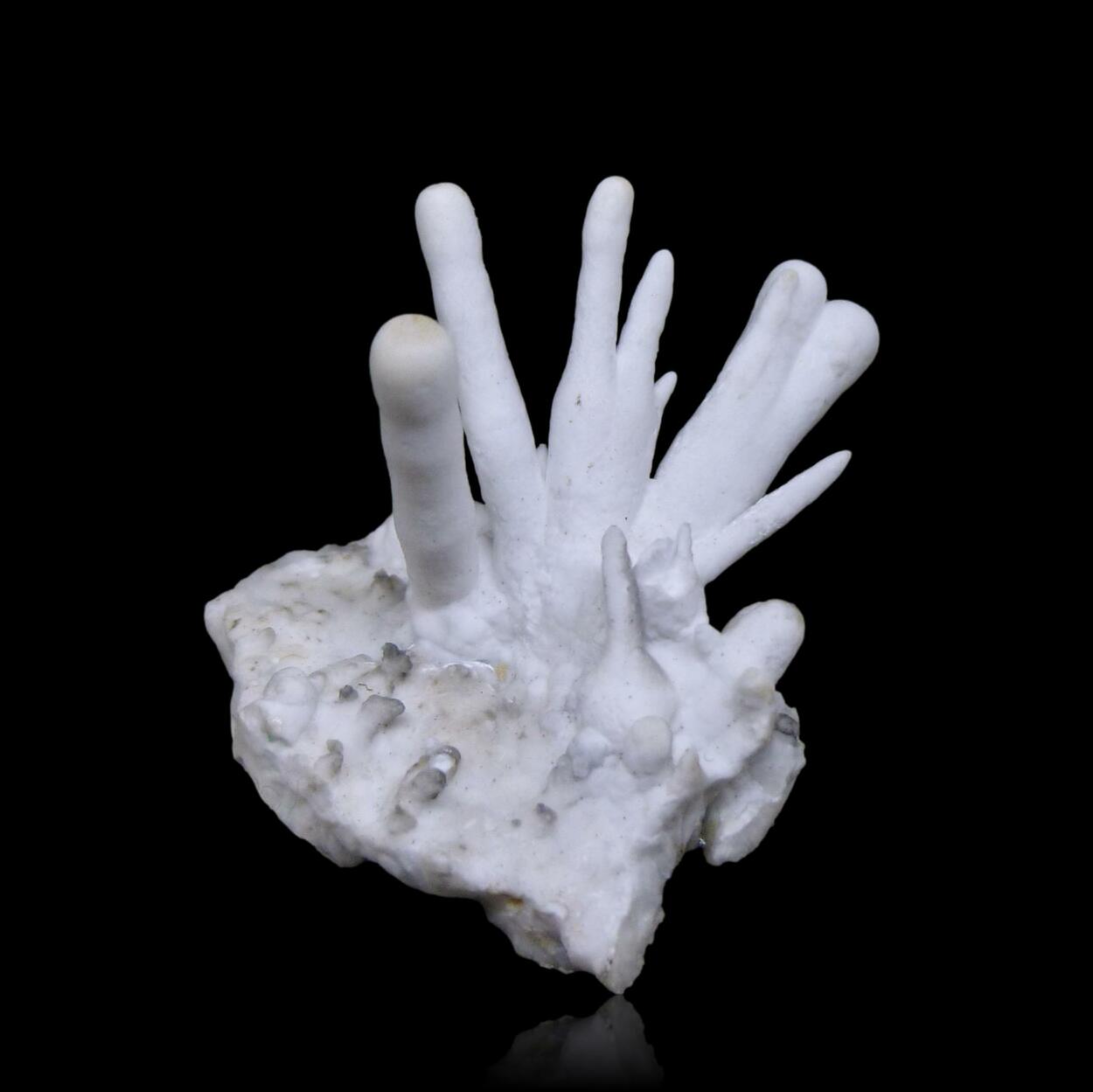 Aragonite Var Flos Ferri