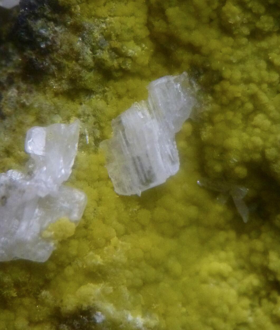 Cerussite & Pyromorphite