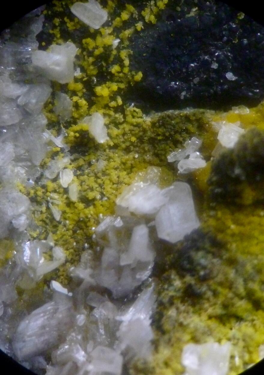 Cerussite & Pyromorphite