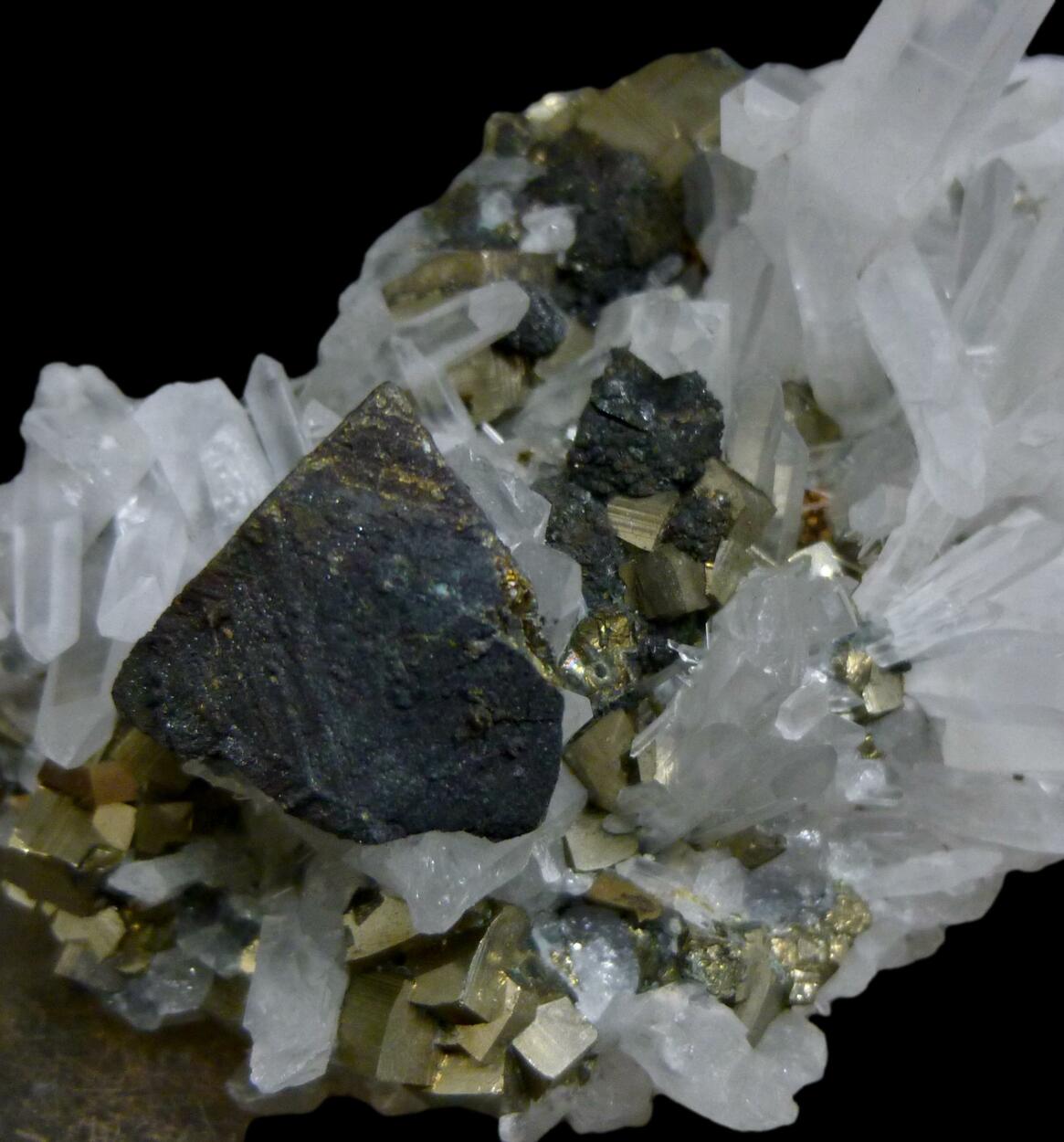 Chalcopyrite Pyrite & Quartz