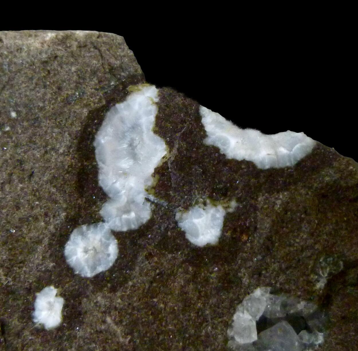 Cowlesite Thomsonite-Ca Mesolite & Chabazite-Ca