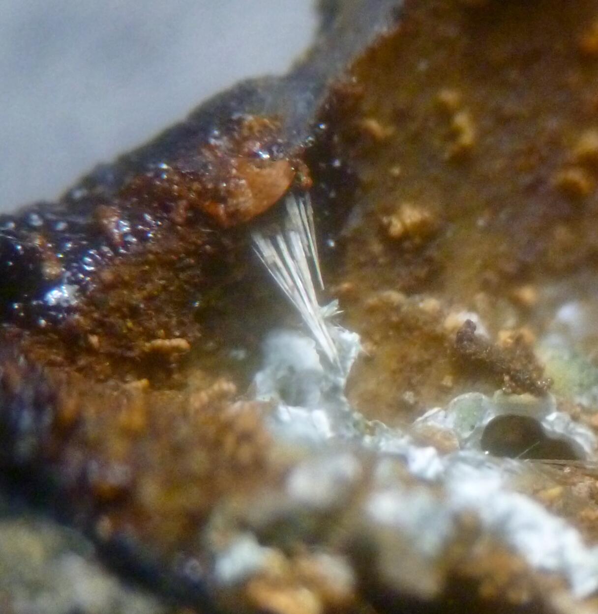 Stewartite Strunzite & Laueite