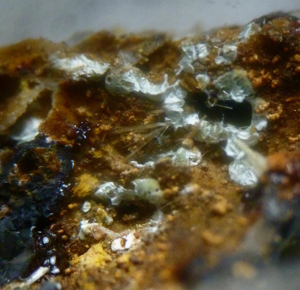 Stewartite Strunzite & Laueite