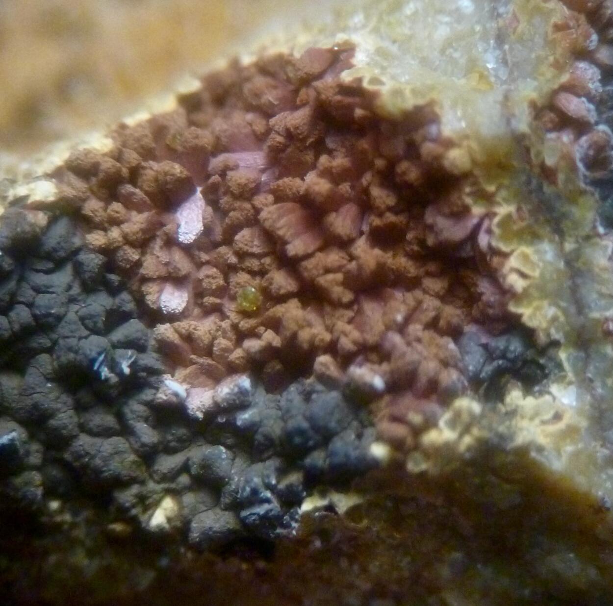 Cuprian Adamite & Smithsonite