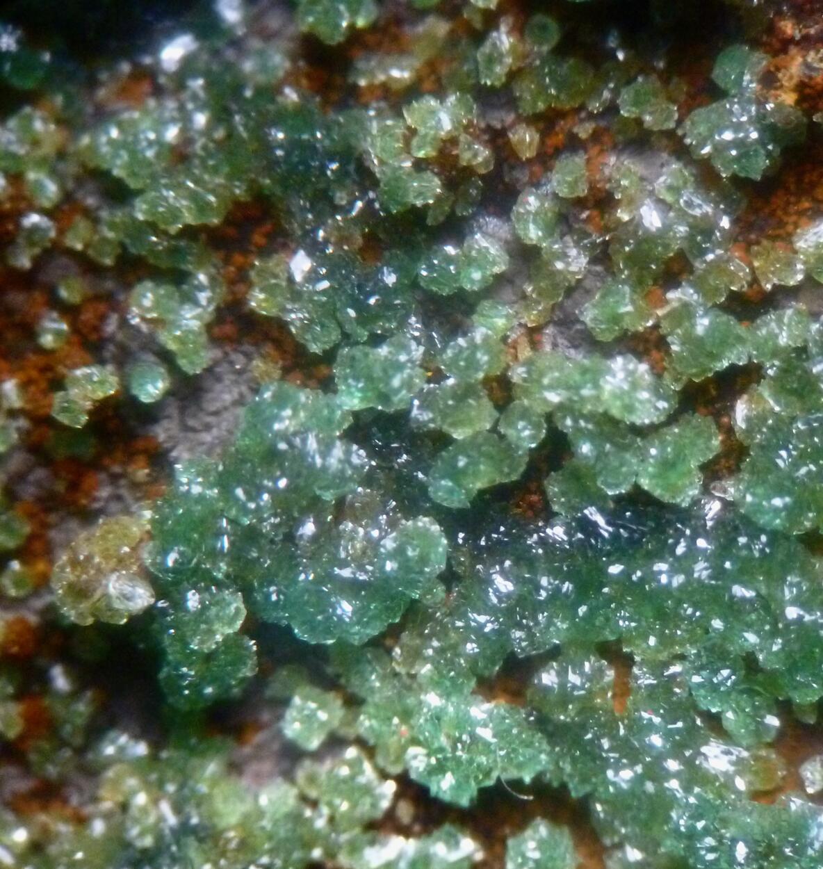 Cuprian Adamite & Smithsonite