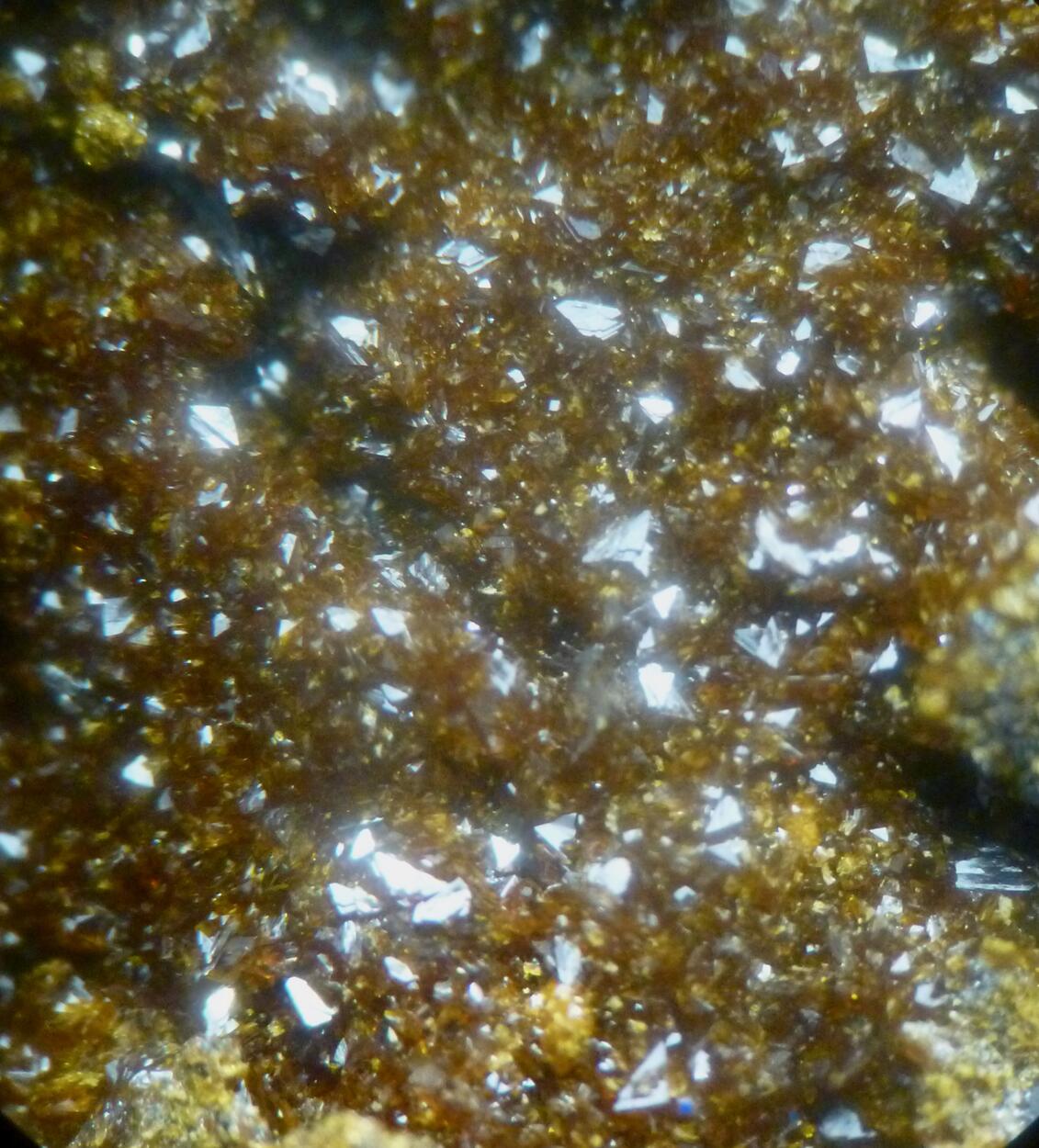 Natrojarosite