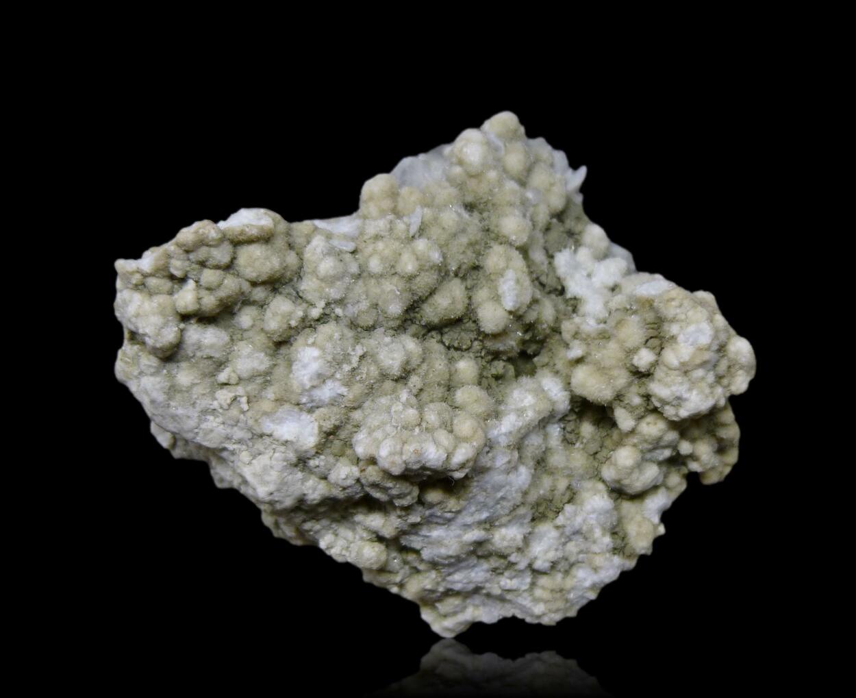 Tunellite