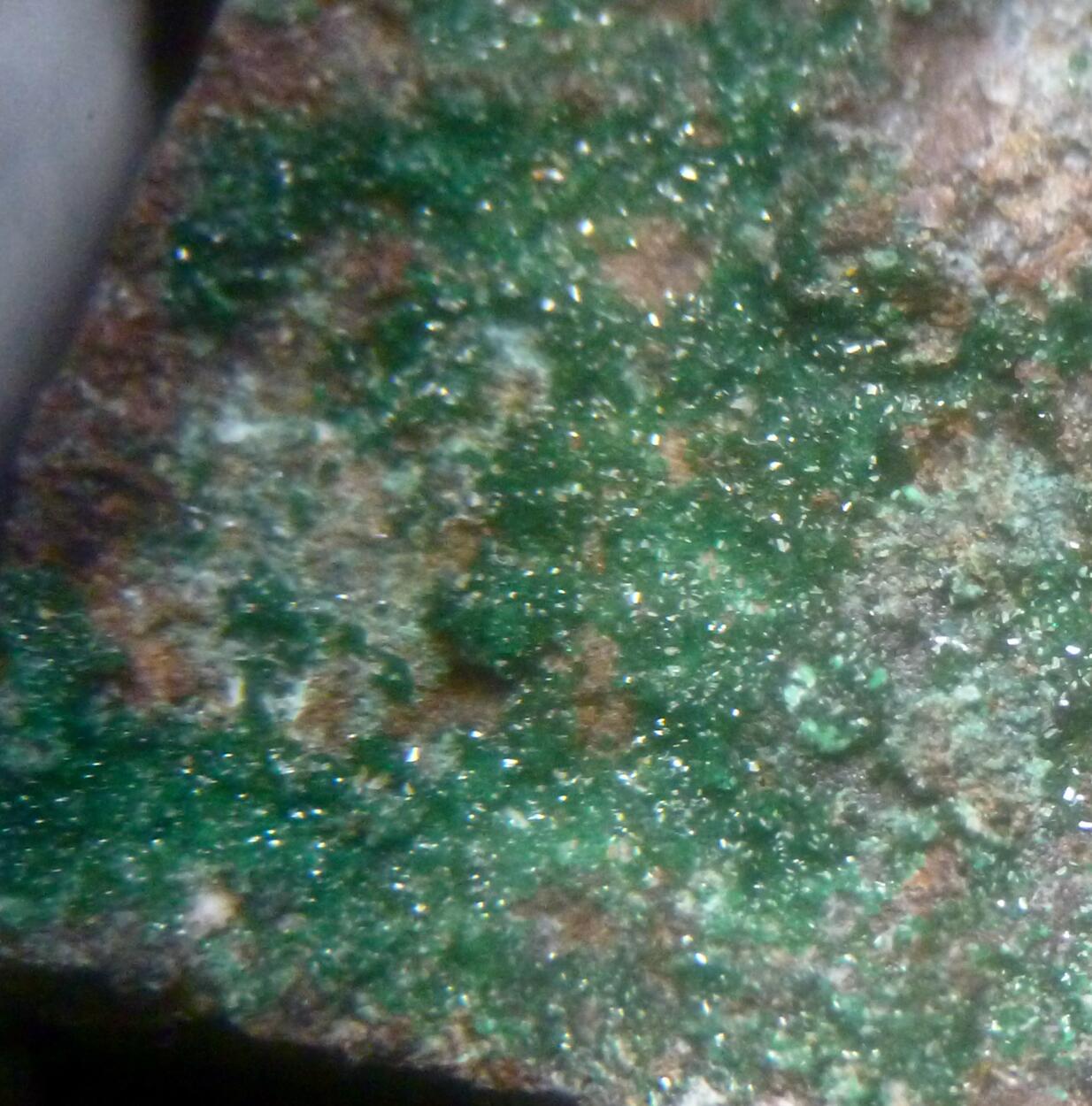 Paratacamite