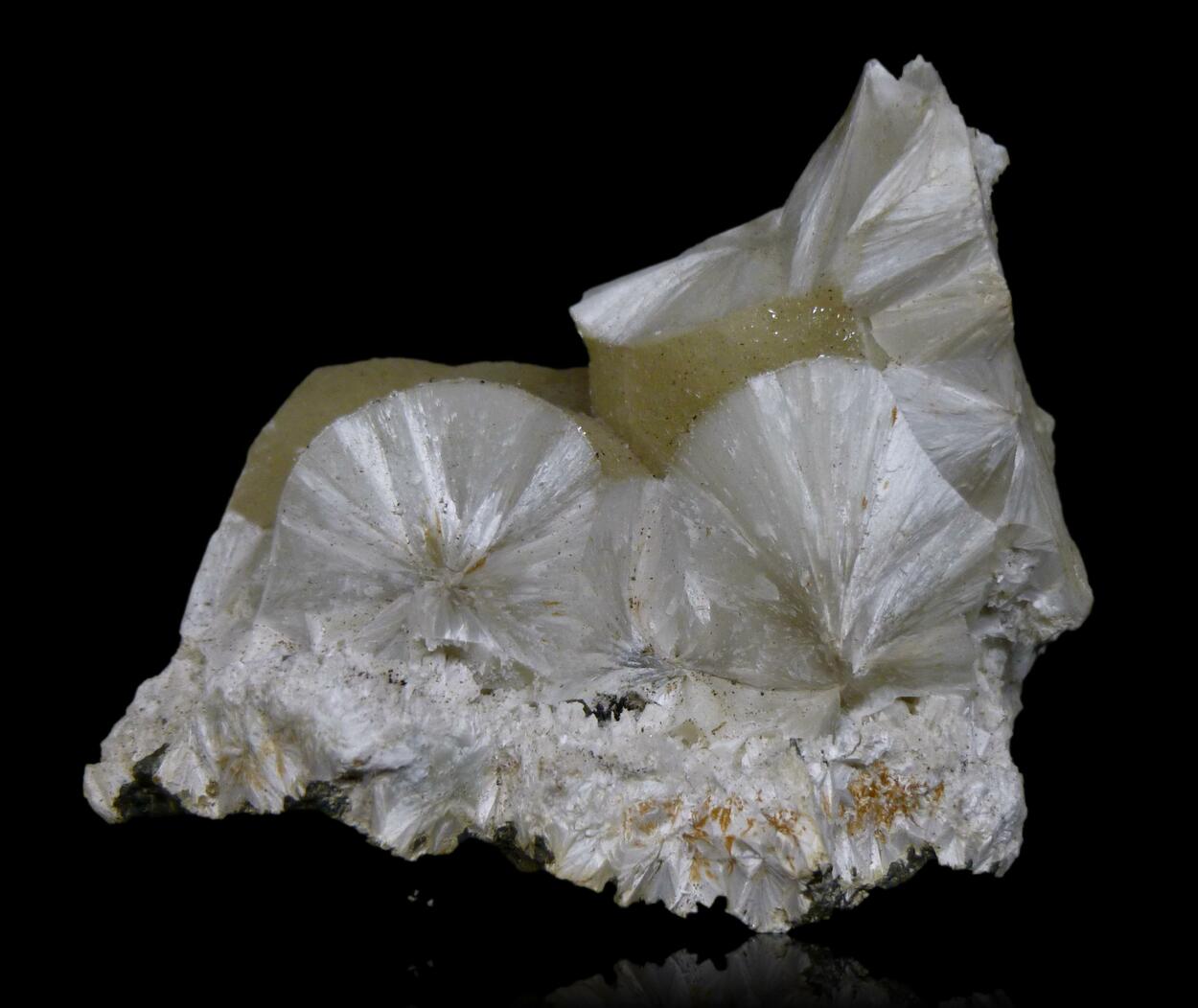 Pectolite