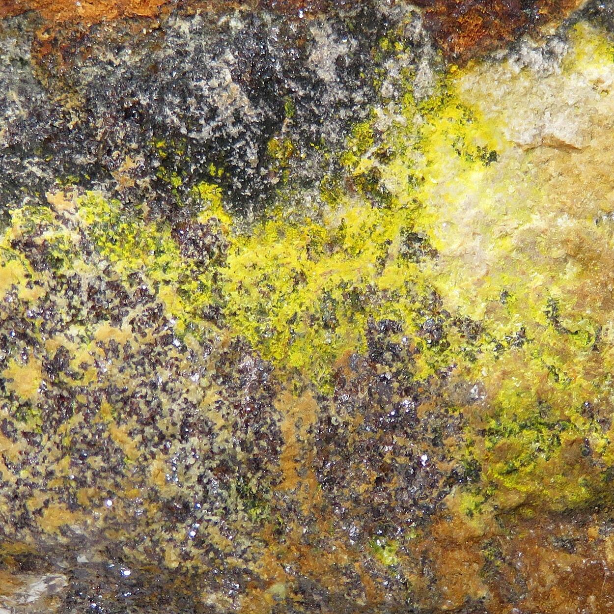 Greenockite