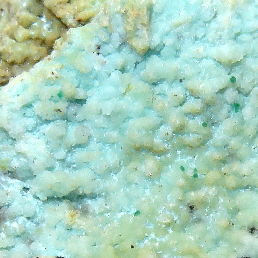 Aurichalcite & Smithsonite