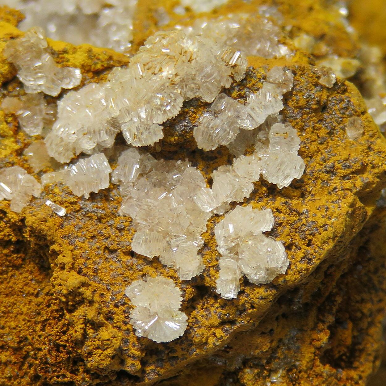Hemimorphite