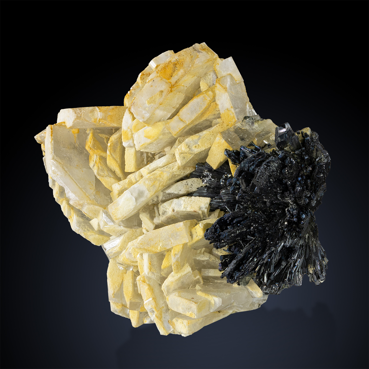 Baryte & Stibnite