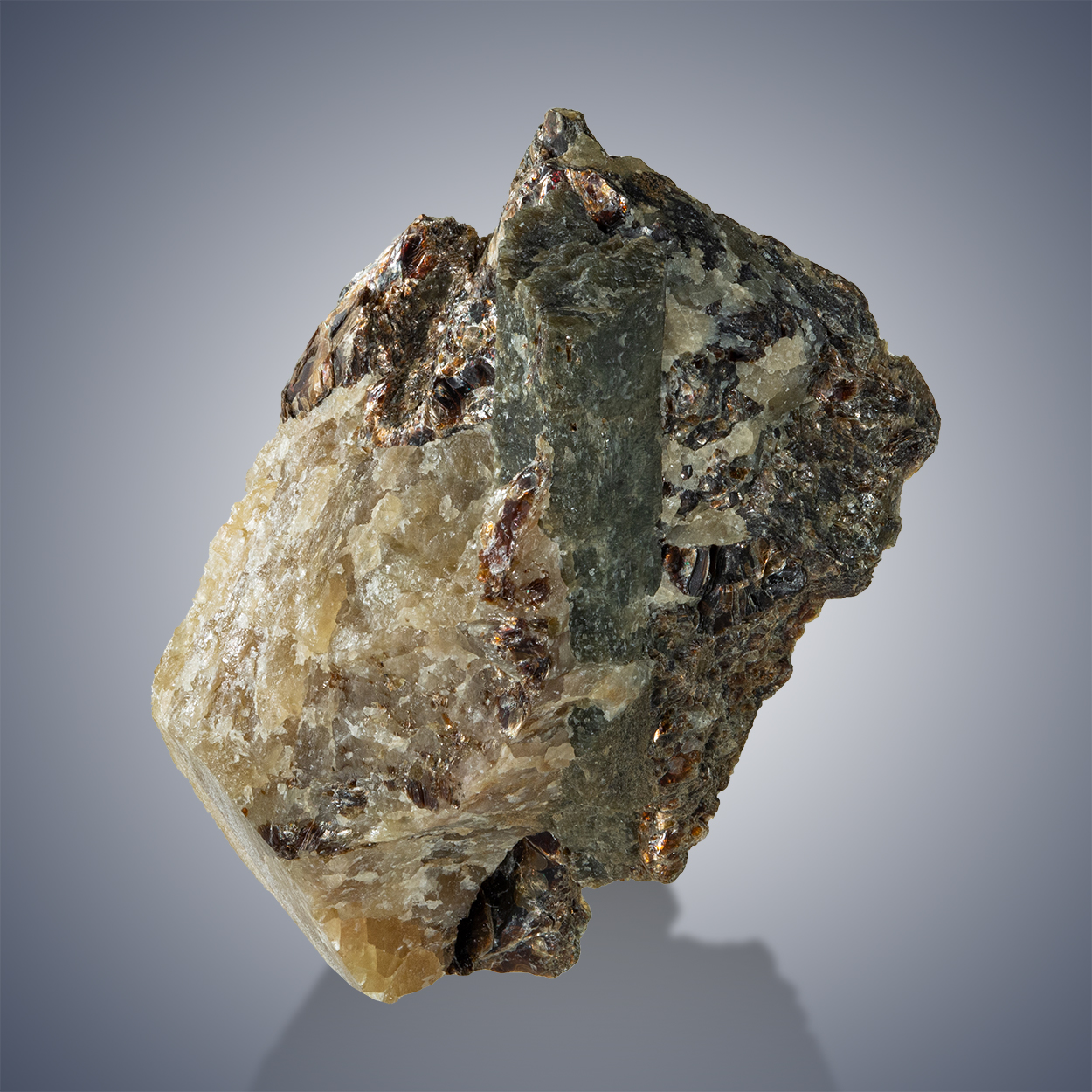 Chlorapatite & Phlogopite