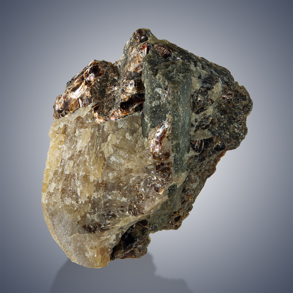 Chlorapatite & Phlogopite