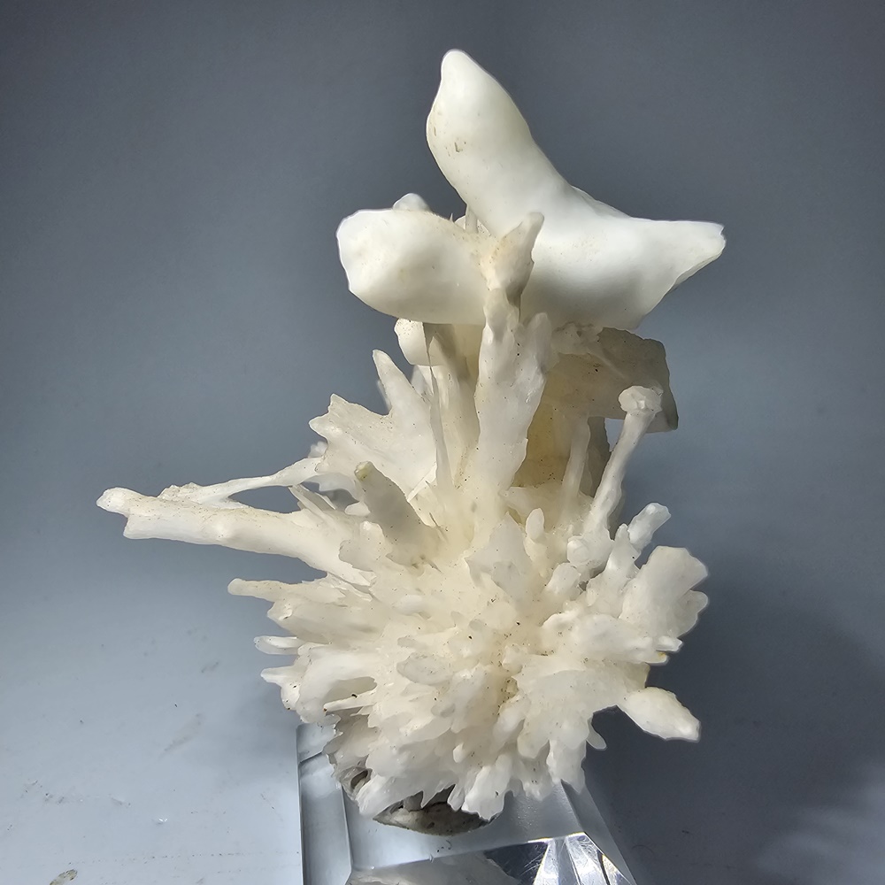 Aragonite Var Flos Ferri