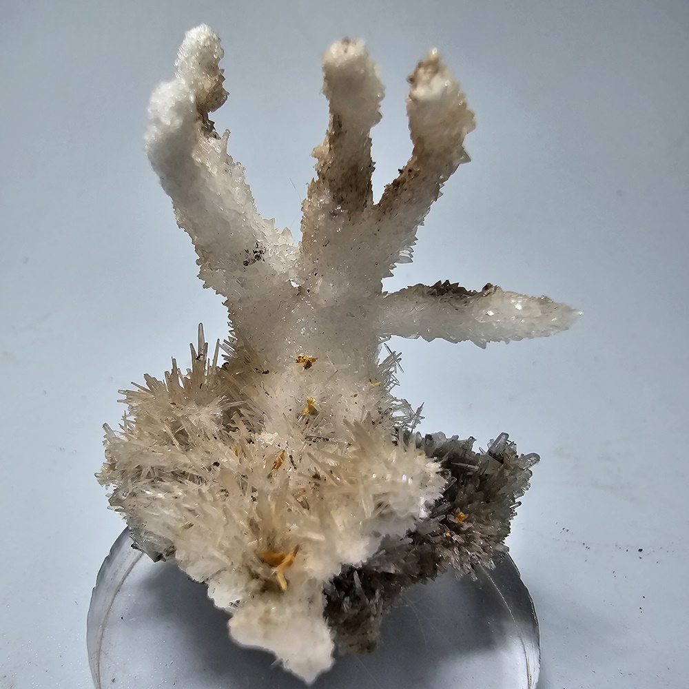 Aragonite Var Flos Ferri