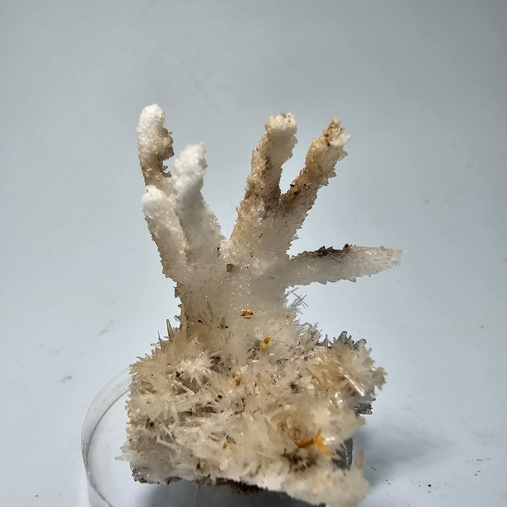 Aragonite Var Flos Ferri