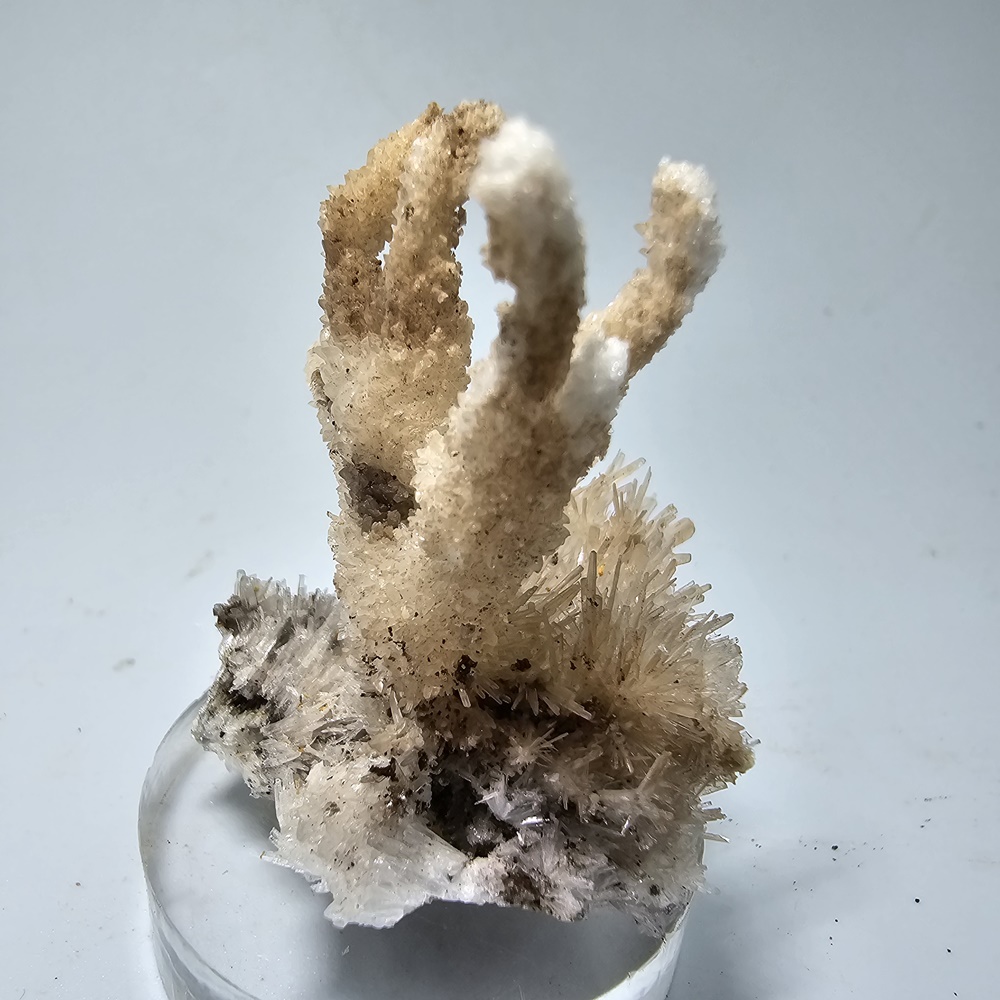 Aragonite Var Flos Ferri