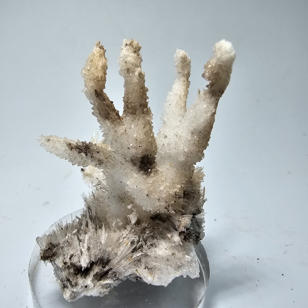 Aragonite Var Flos Ferri