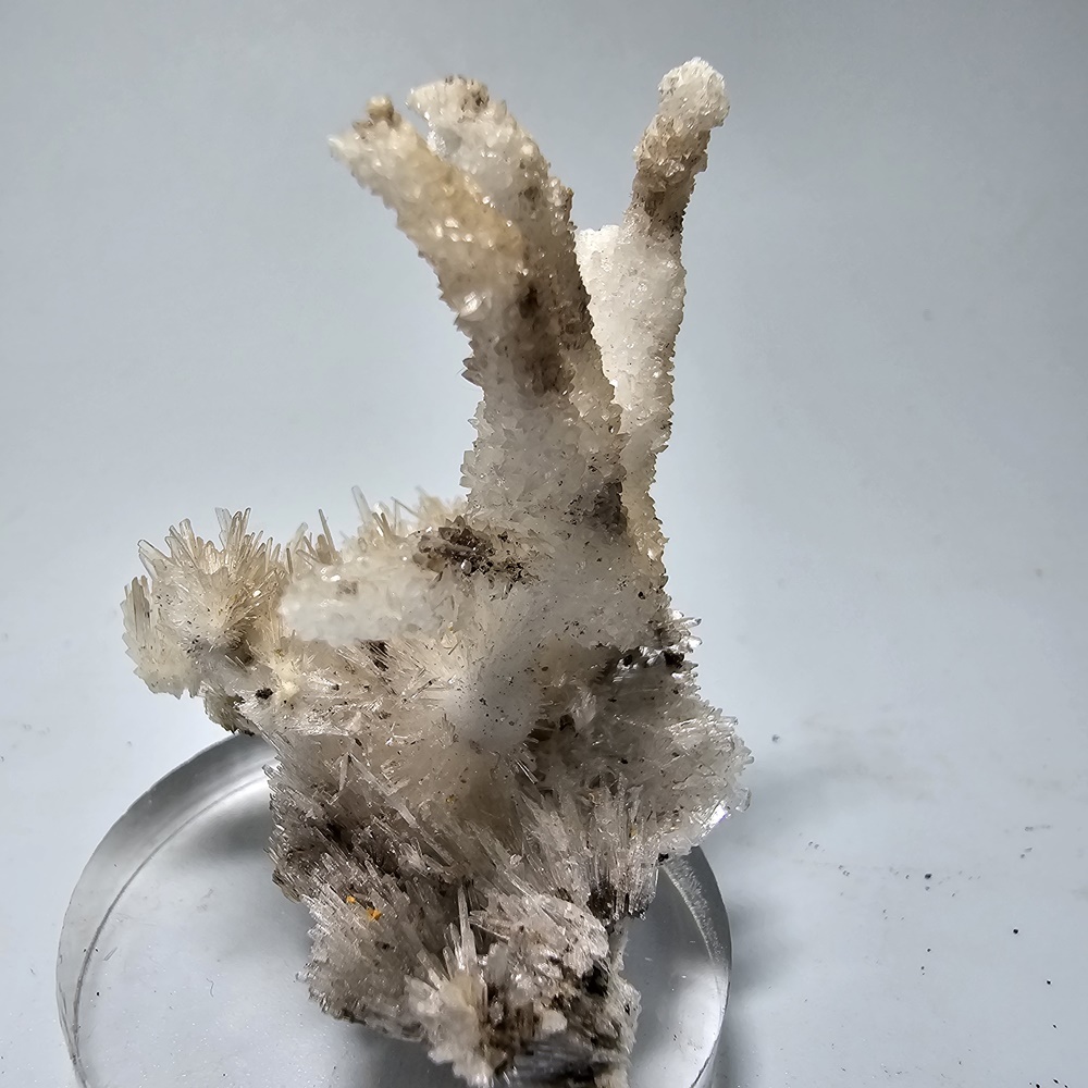 Aragonite Var Flos Ferri