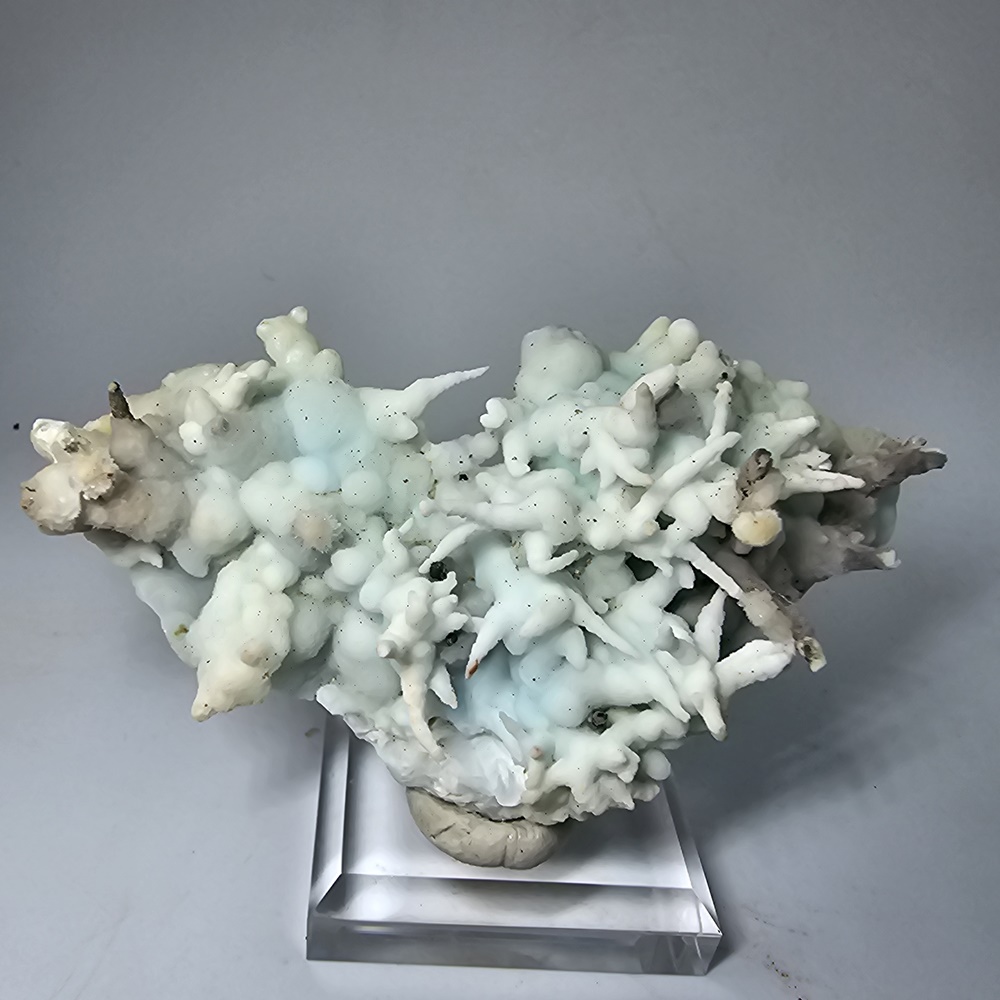 Aragonite Var Flos Ferri